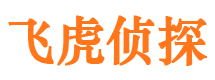 阳高市侦探公司